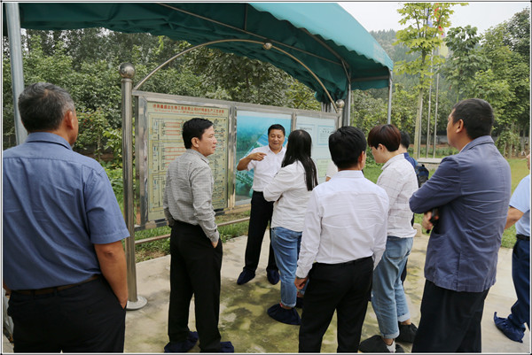 `20190917大发1.jpg`/