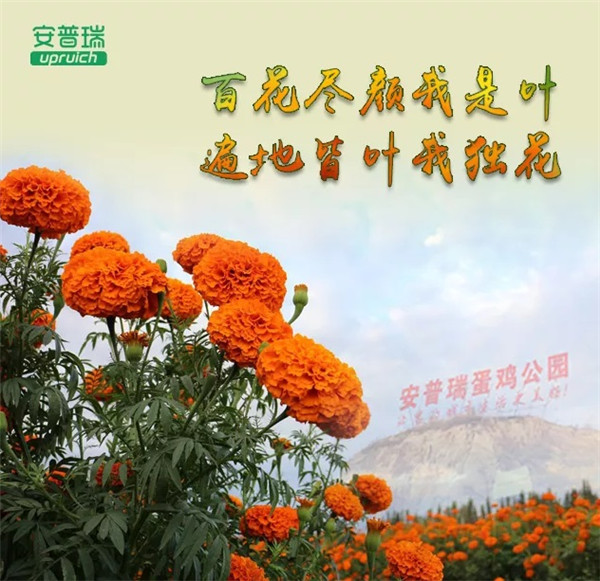 `20190917天聚22.jpg`/