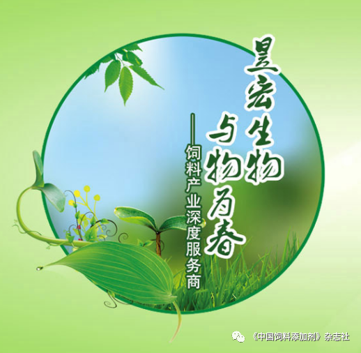 `图片`/