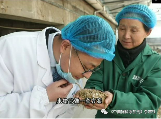 `图片`/