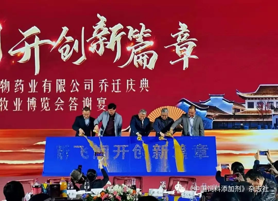 `图片`/