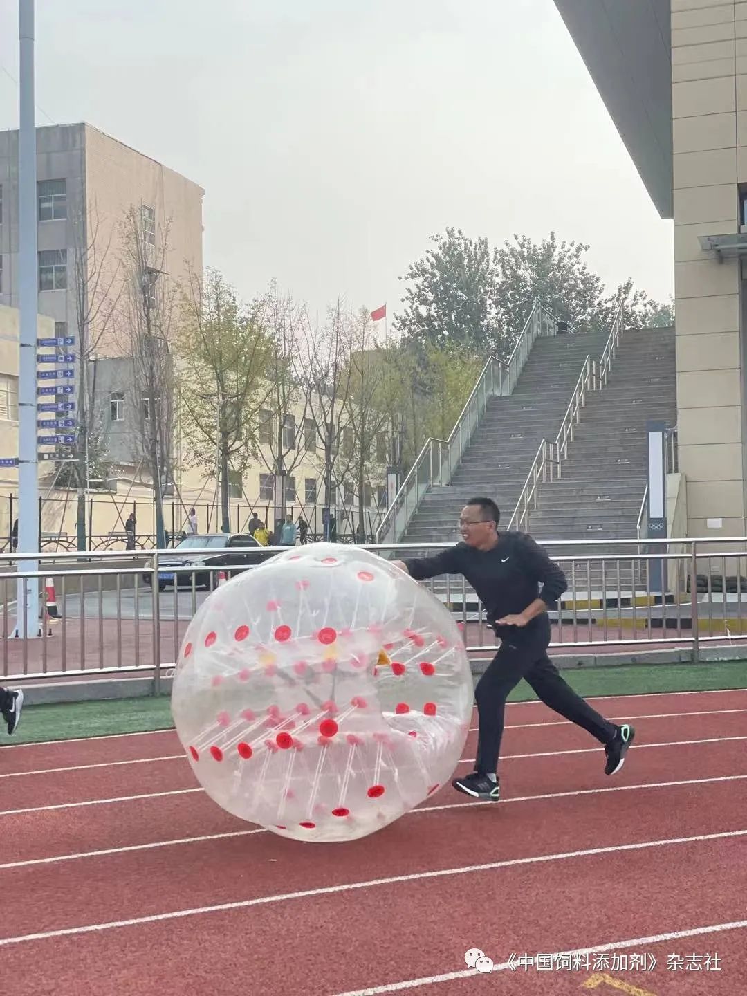 `图片`/
