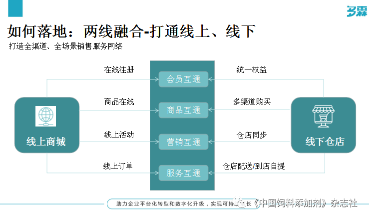 `图片`/
