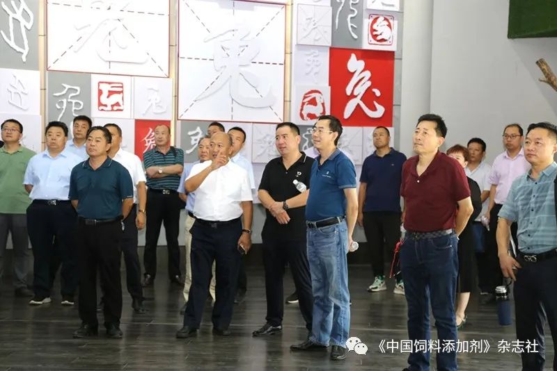 `图片`/
