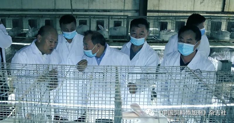 `图片`/