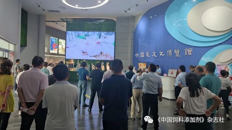 `图片`/