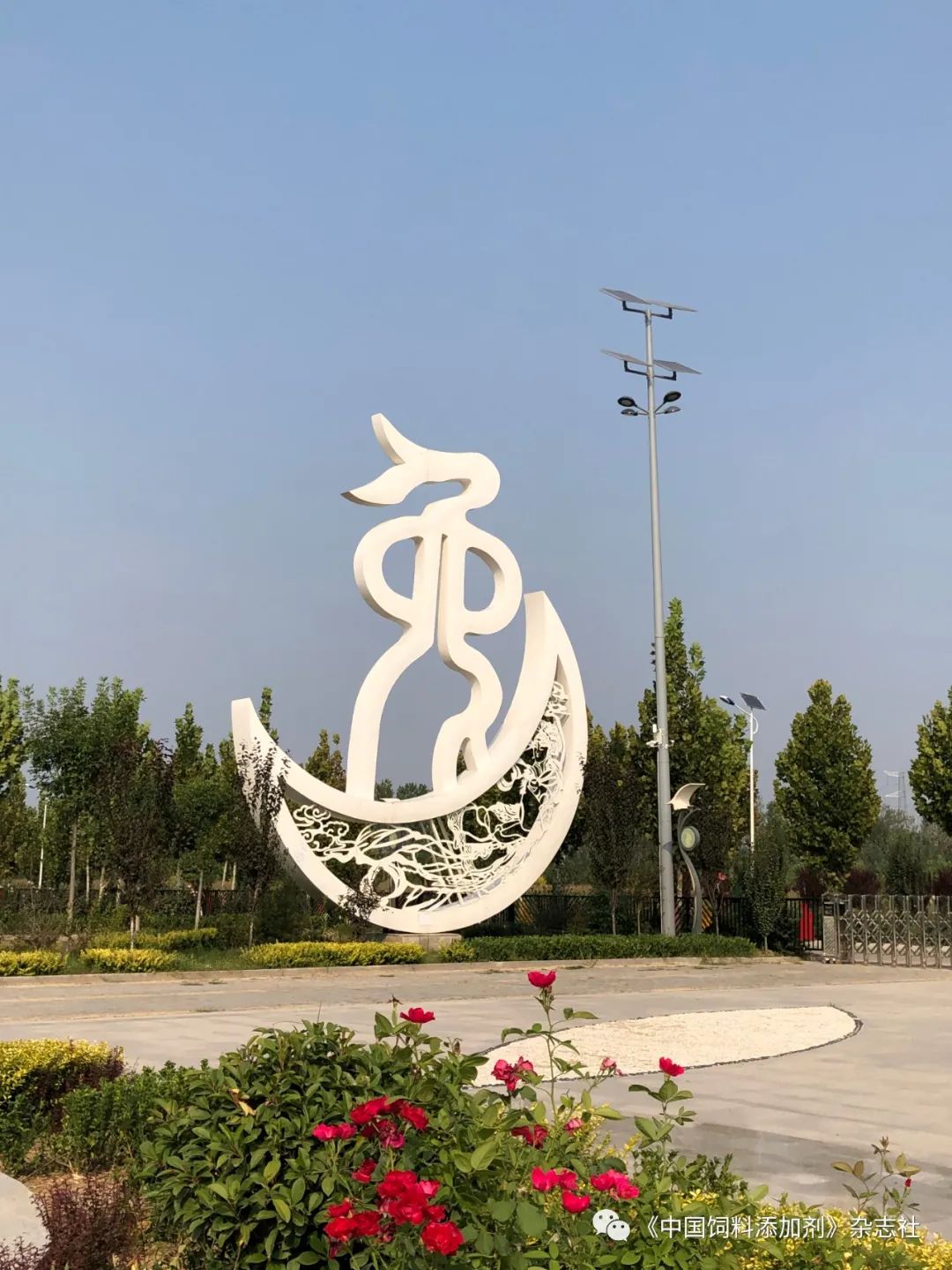 `图片`/