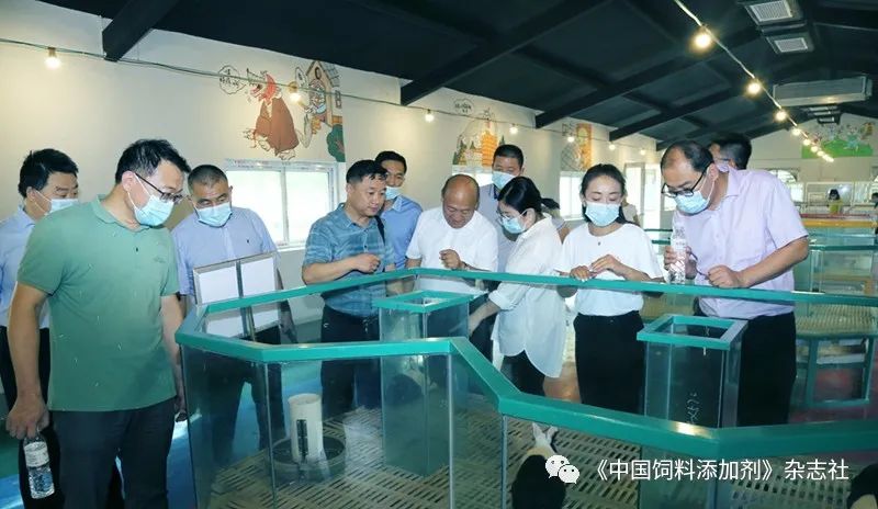 `图片`/