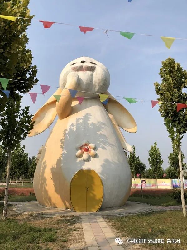 `图片`/