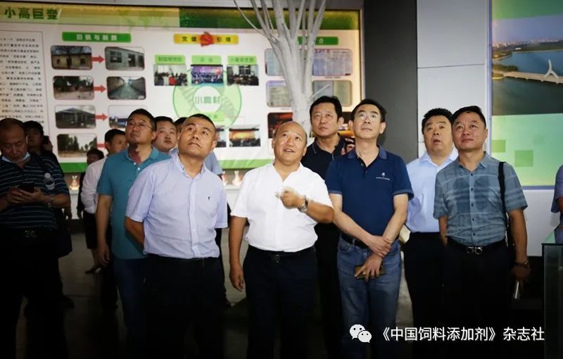 `图片`/