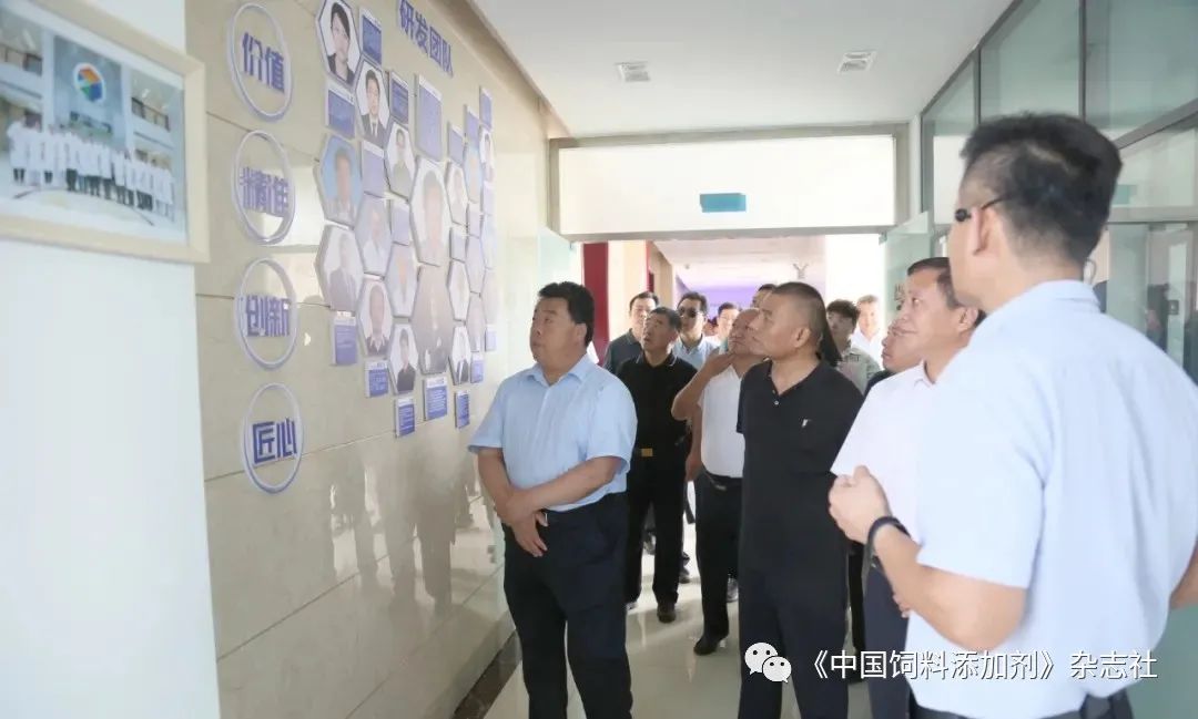 `图片`/