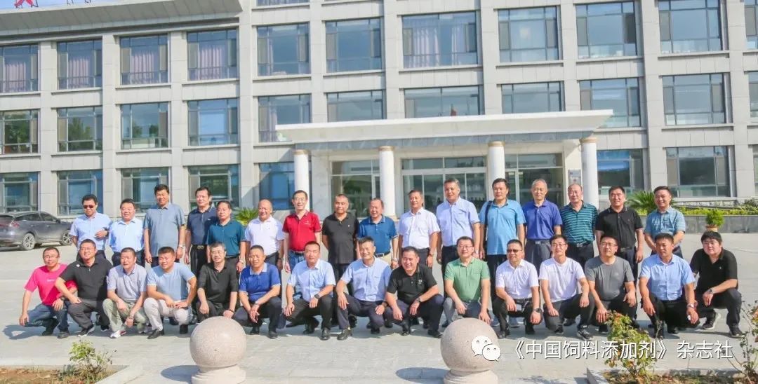 `图片`/