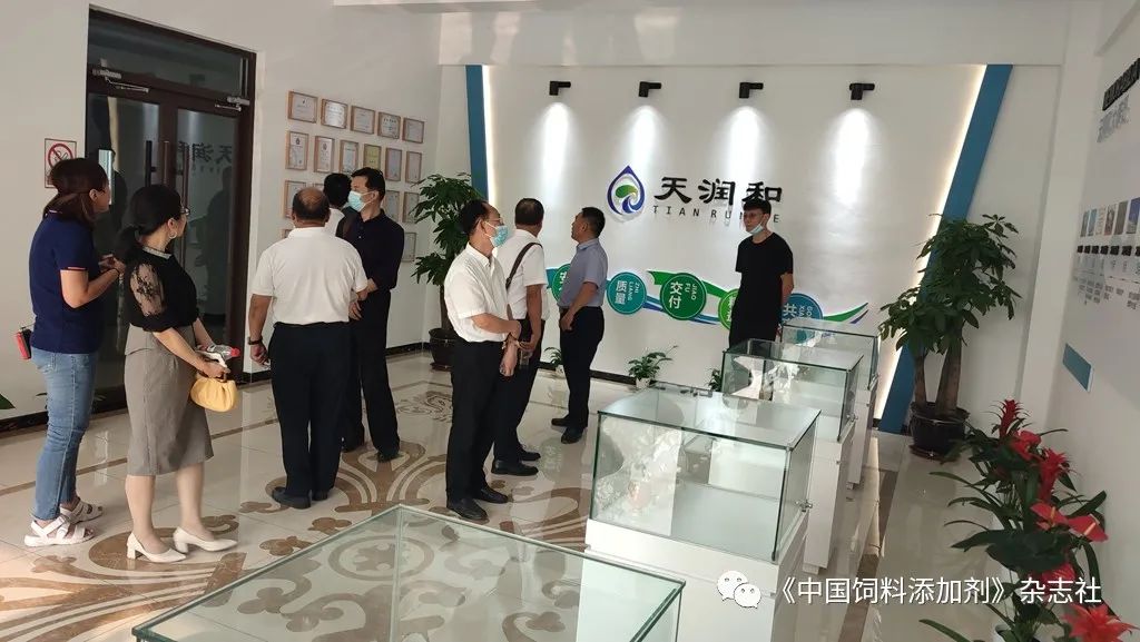 `图片`/