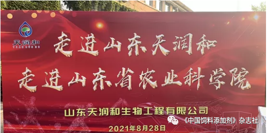 `图片`/