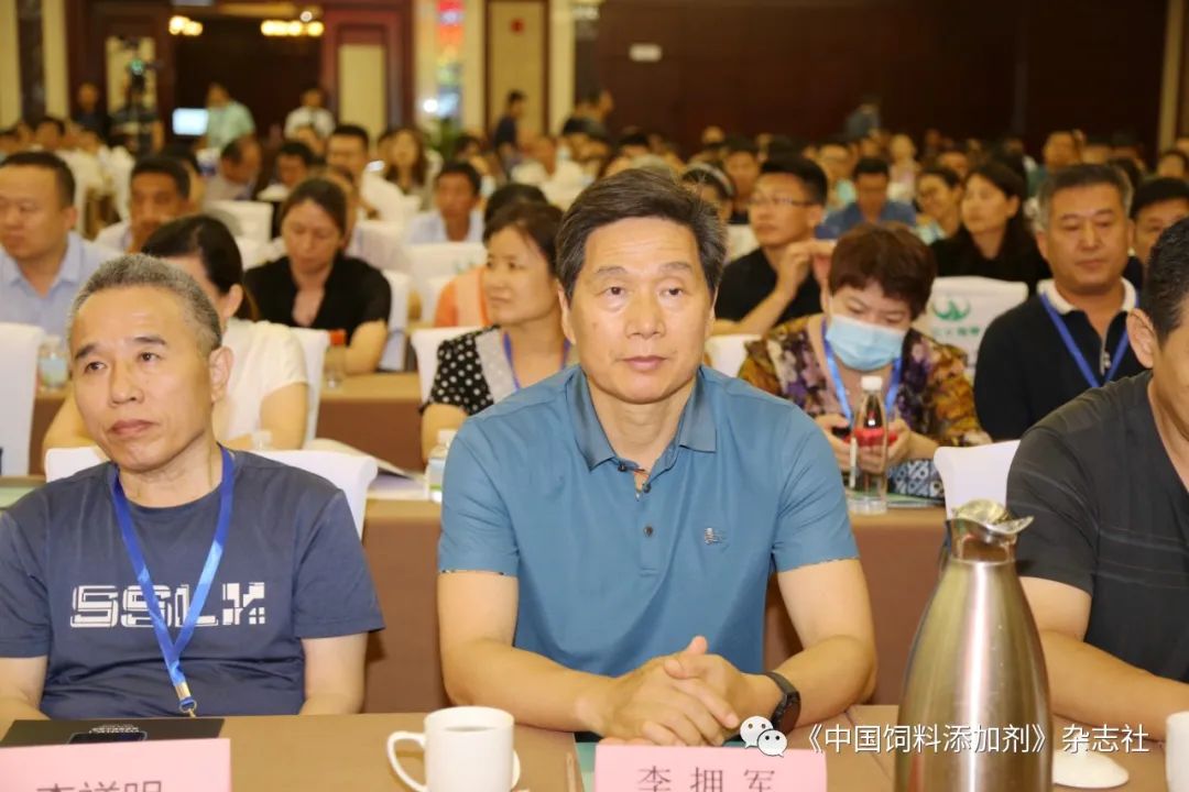 `图片`/