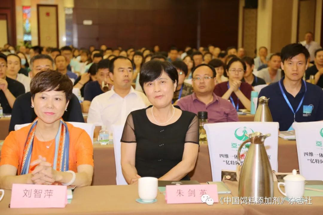 `图片`/
