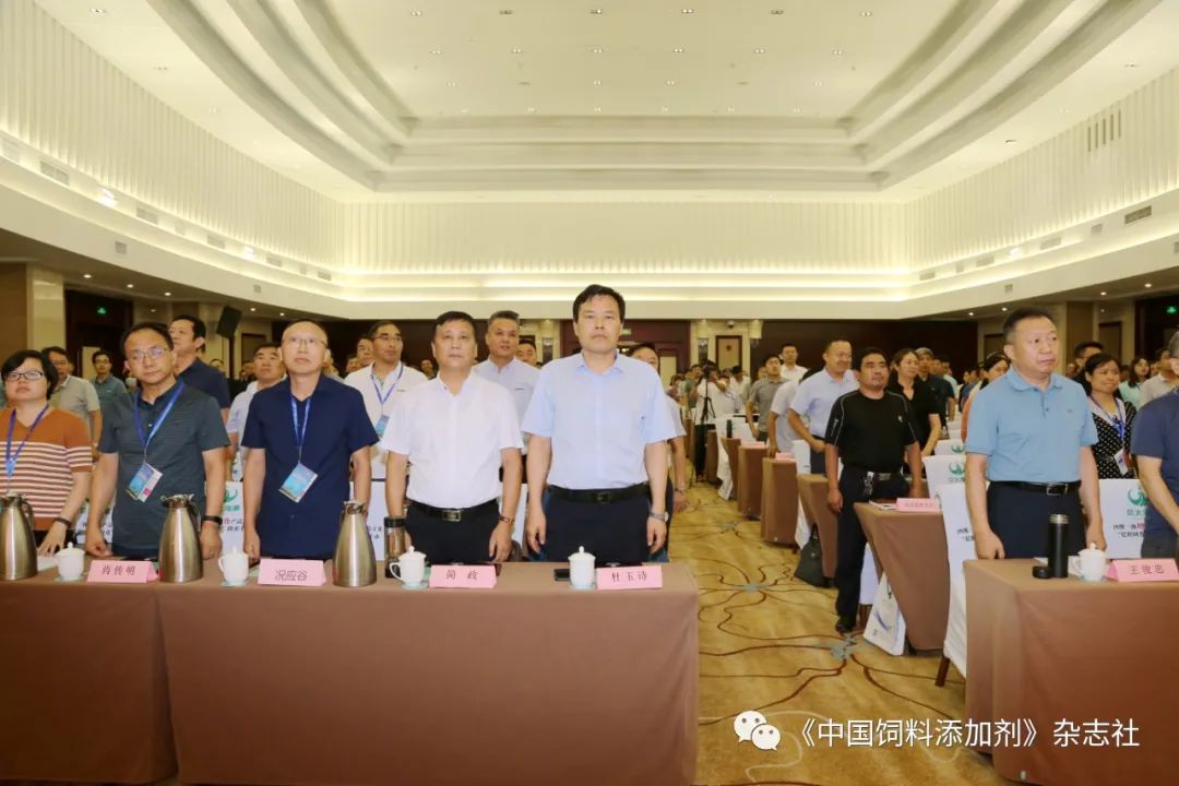 `图片`/